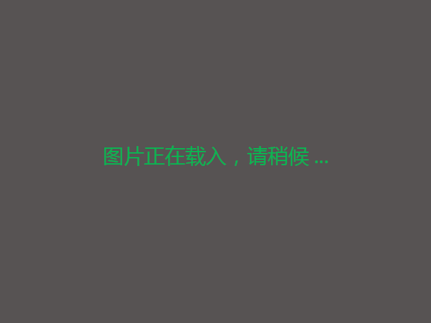 吉林吉林磐石79.50亩农用地25年